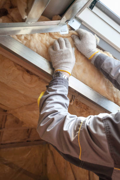 Best Local Insulation Services  in Fowler, IN